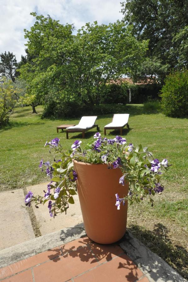 B&B Casa Soresina Offagna Exterior foto