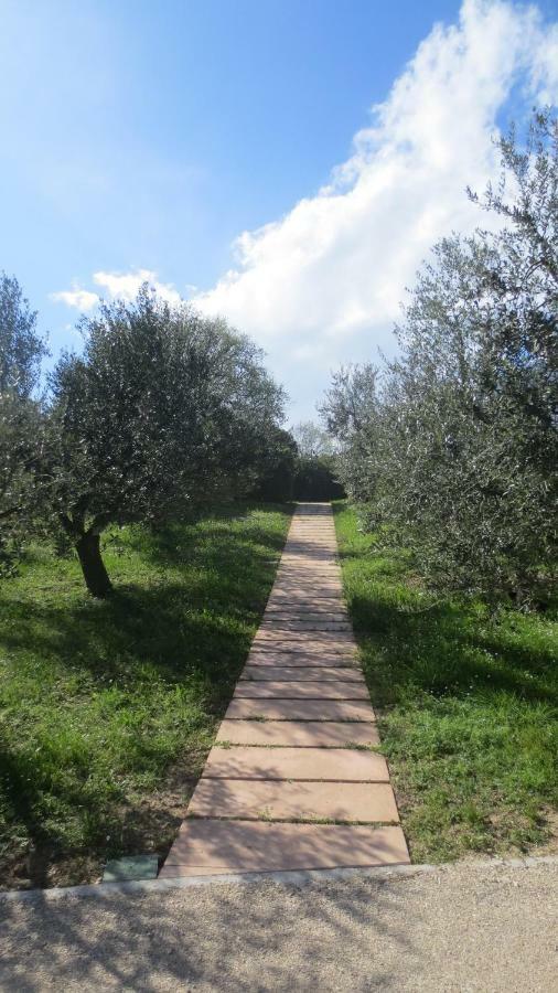 B&B Casa Soresina Offagna Exterior foto
